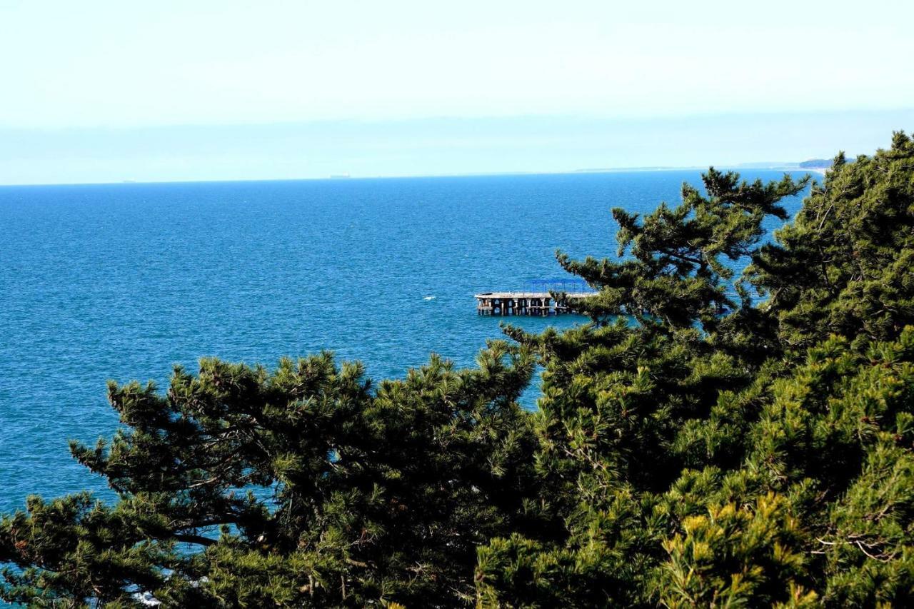 Guest House Romanadze Kobuleti Zewnętrze zdjęcie